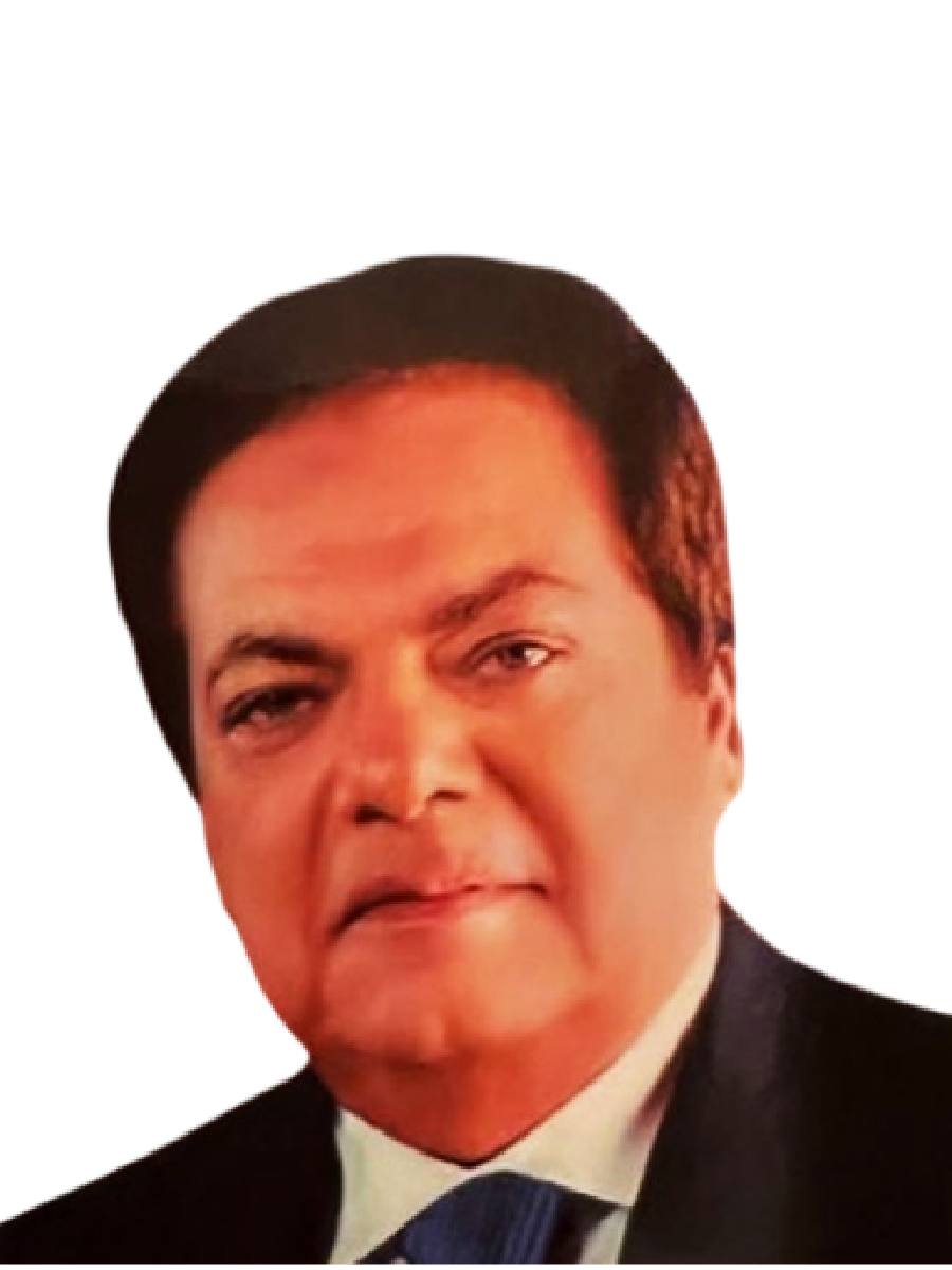 H.E Mohamed AbdulEnien